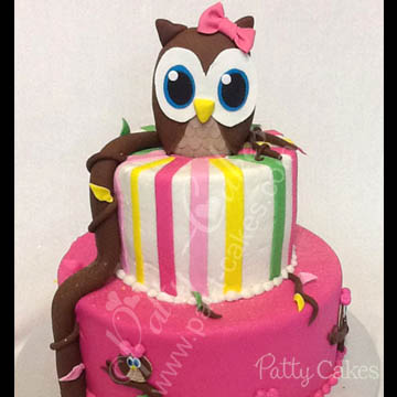 Animal Cake, Owl 01