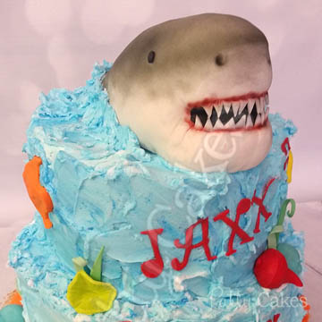Animal Cake, Shark 03