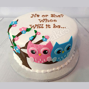 Gender Reveal Cake 10